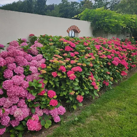 Homestay Chez Particulier Avec Petit Dejeuner, Piscine, Pool House Saint-Pierre-de-Manneville