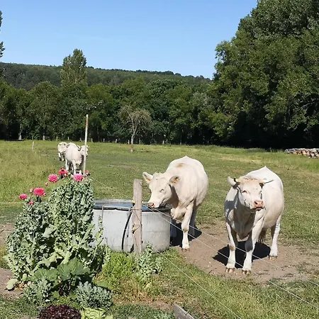 Homestay Chez Particulier Avec Petit Dejeuner, Piscine, Pool House *